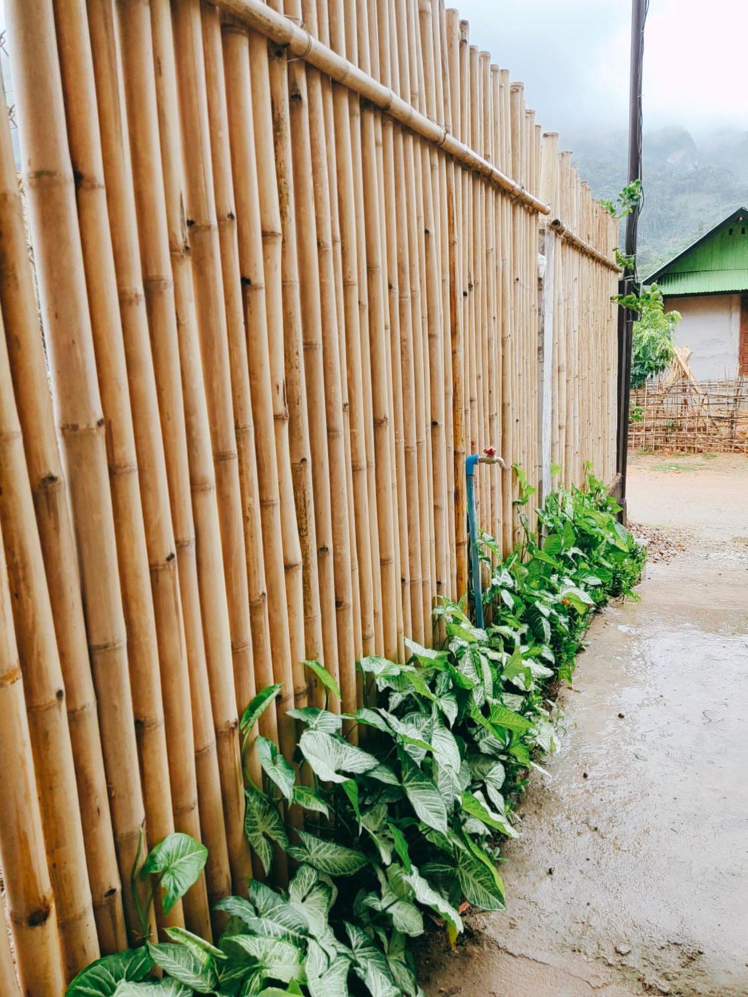 Meexok Guesthouse Nongkhiaw Zewnętrze zdjęcie