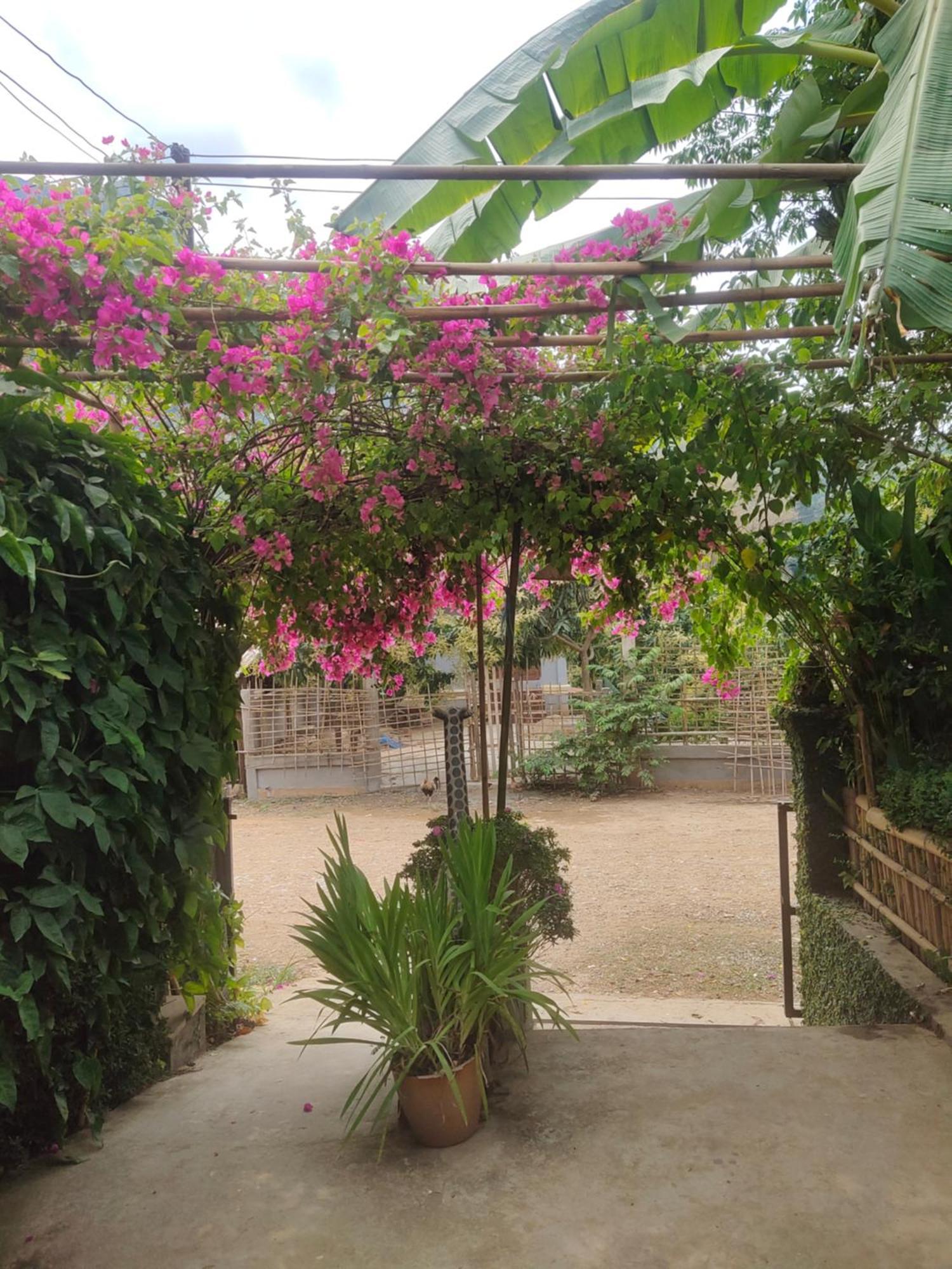 Meexok Guesthouse Nongkhiaw Zewnętrze zdjęcie